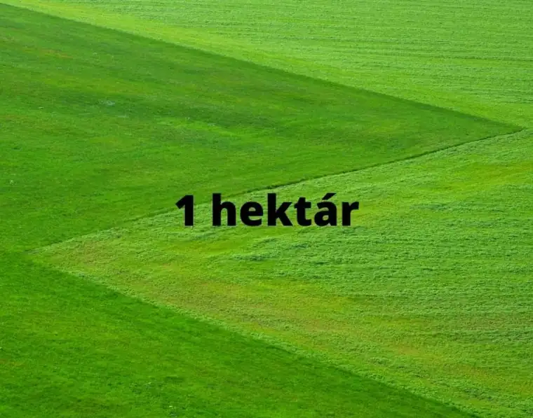 1 hektár hány négyzetméter – hektár m2 átváltás