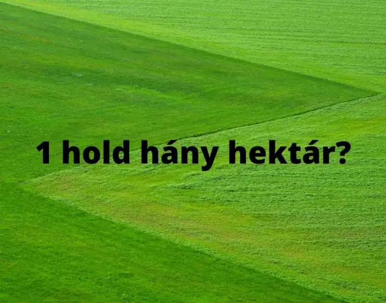Hektár átváltás – hektár, hold, négyszögöl, négyzetméter